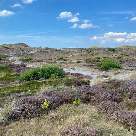 Gorgeous In With Wifi * بيرشِن